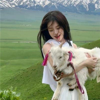 伤物语2:热血篇